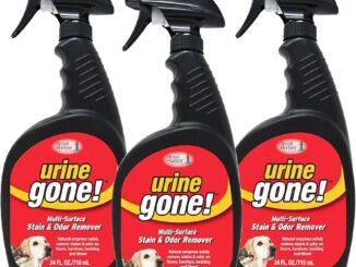 Best Cleaner for Dog Urine on Hardwood Floors