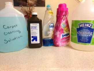 Homemade Carpet Shampoo for Cat Urine Vinegar