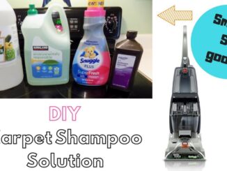 Homemade Carpet Shampoo for Dog Urine