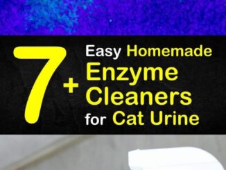 Homemade Enzyme Cleaner for Cat Urine