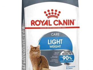 Royal Canin Light Weight Care Cat 3Kg